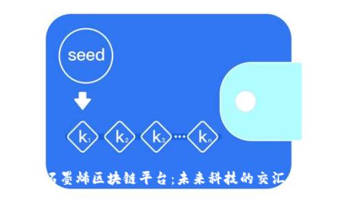 石墨烯区块链平台：未来科技的交汇点
