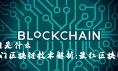 最红区块链是什么2023年热门区块链技术解析：最
