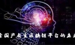 : 探索国产自主区块链平台的未来发展