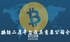 区块链二层平台及其重要公司介绍