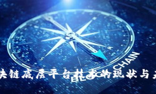 新型区块链底层平台技术的现状与未来发展