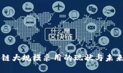 区块链大规模采用的现状与未来展望