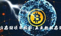 区块链算力存储项目揭秘：未来数据存储的新方