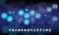 中国区块链联盟的主要平台概览