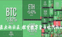 区块链最大的社区：探索数字货币时代的社群力