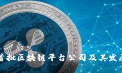 国内首批区块链平台公司及其发展现状
