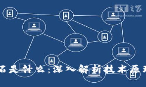 区块链的基石是什么：深入解析技术原理与应用潜力
