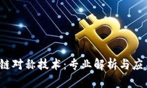  区块链对称技术：专业解析与应用前景