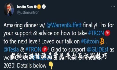 揭秘区块链骗局常见平台及识别技巧