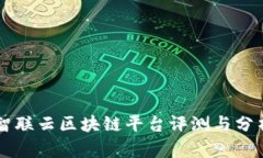 智联云区块链平台评测与分析