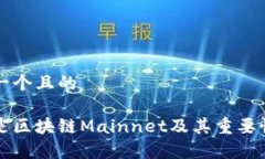 思考一个且的什么是区块链Mainnet及其重要性解析