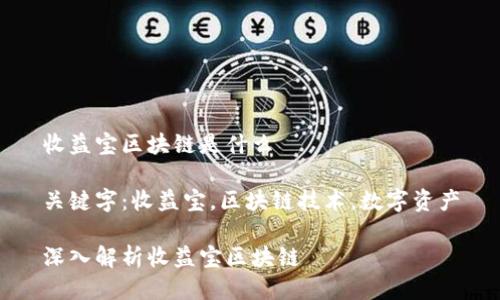 收益宝区块链是什么

关键字：收益宝，区块链技术，数字资产

深入解析收益宝区块链