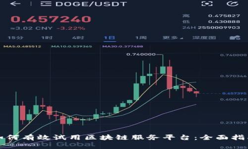 如何有效试用区块链服务平台：全面指南