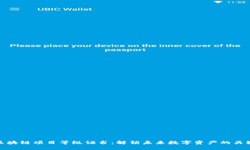区块链项目等级证书：解锁未来数字资产的关键