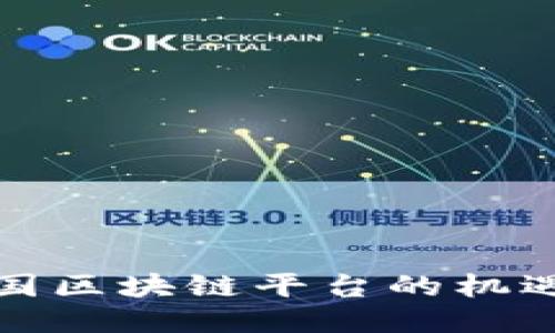 探索韩国区块链平台的机遇与挑战