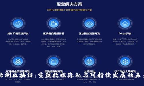 绿洲区块链：重塑数据隐私与可持续发展的未来