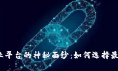 揭开区块链行业平台的神秘面纱：如何选择最适