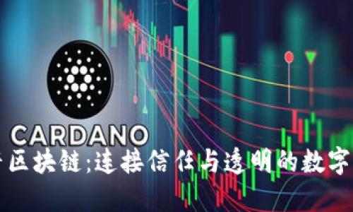 佳音区块链：连接信任与透明的数字未来