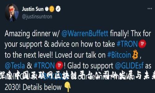 探索中国互联网区块链平台公司的发展与未来