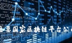 中国主要国家区块链平台公司一览