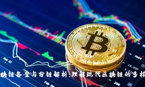 区块链备案与分链解析：理解现代区块链的多样性