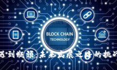 区块链遇到瓶颈：未来发展之路的挑战与机遇