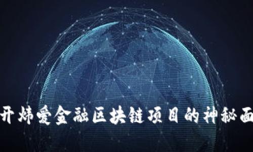 揭开炜爱金融区块链项目的神秘面纱