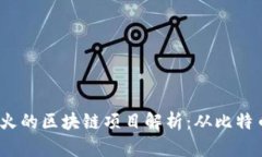 2023年最火的区块链项目解析：从比特币到以太坊