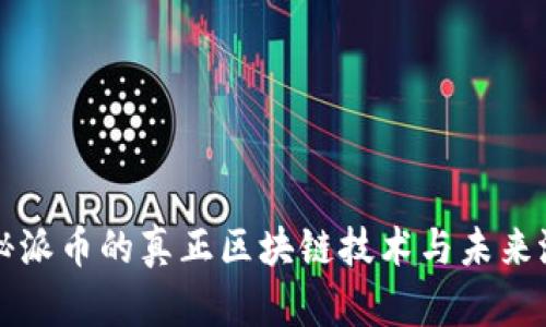 揭秘派币的真正区块链技术与未来潜力