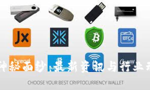 揭开区块链的神秘面纱：最新资讯与行业动态一站式平台