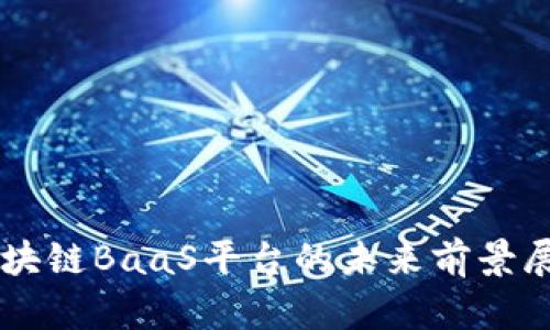 区块链BaaS平台的未来前景展望