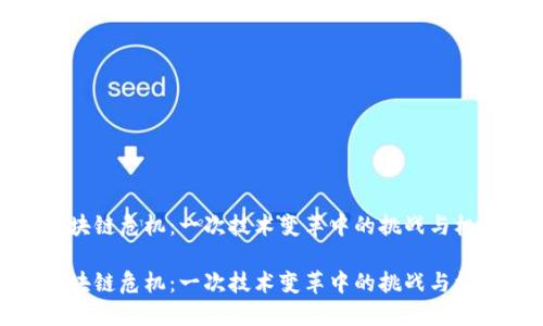 区块链危机：一次技术变革中的挑战与机遇

区块链危机：一次技术变革中的挑战与机遇