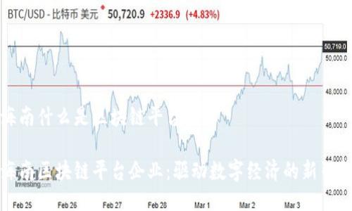 海南什么是区块链平台企业

海南区块链平台企业：驱动数字经济的新引擎