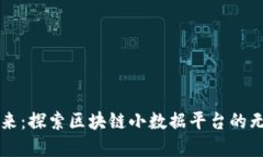 构建未来：探索区块链小数据平台的无限可能