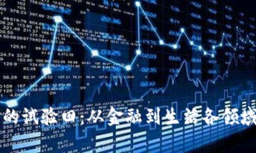 区块链未来的试验田：从金融到生活各领域的应用前景