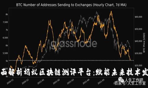 全面解析蚂蚁区块链测评平台：赋能未来技术发展