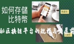 探秘区块链平台的规模与发展前景