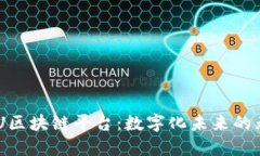 探索NBU区块链平台：数字化未来的无限可能