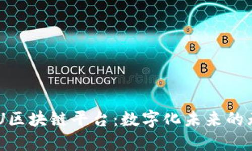 探索NBU区块链平台：数字化未来的无限可能