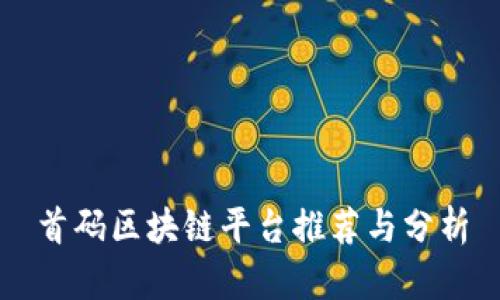 首码区块链平台推荐与分析