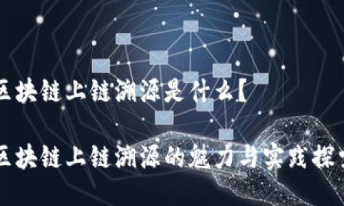 区块链上链溯源是什么？

区块链上链溯源的魅力与实践探索