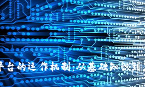区块链平台的运作机制：从基础知识到应用实例