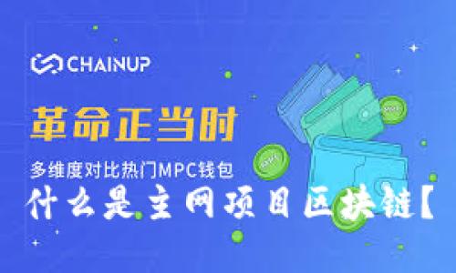 什么是主网项目区块链？