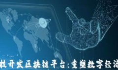 凤梨科技开发区块链平台：重塑数字经济的未来