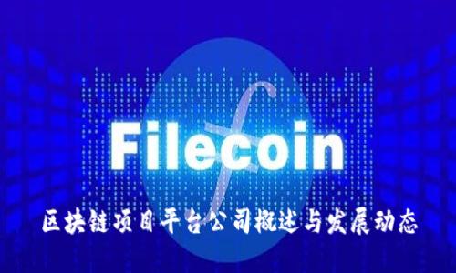 区块链项目平台公司概述与发展动态