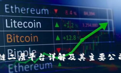 区块链二层平台详解及其主要公司解析