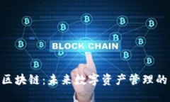  VSBC区块链：未来数字资产管理的新潮流