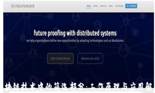 
区块链技术中的筛选部分：工作原理与应用解析