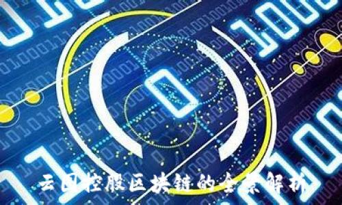   
云图控股区块链的全景解析