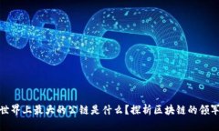 : 世界上最大的公链是什么？探析区块链的领军者